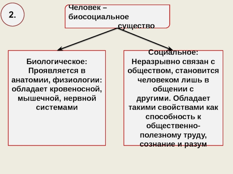 Человек существо биосоциальное ответ. Человек биосоциальное существо схема. Человек биосоциальное существо таблица. Человек биосоциальное существо признаки. Человек как биосоциальное существо план.