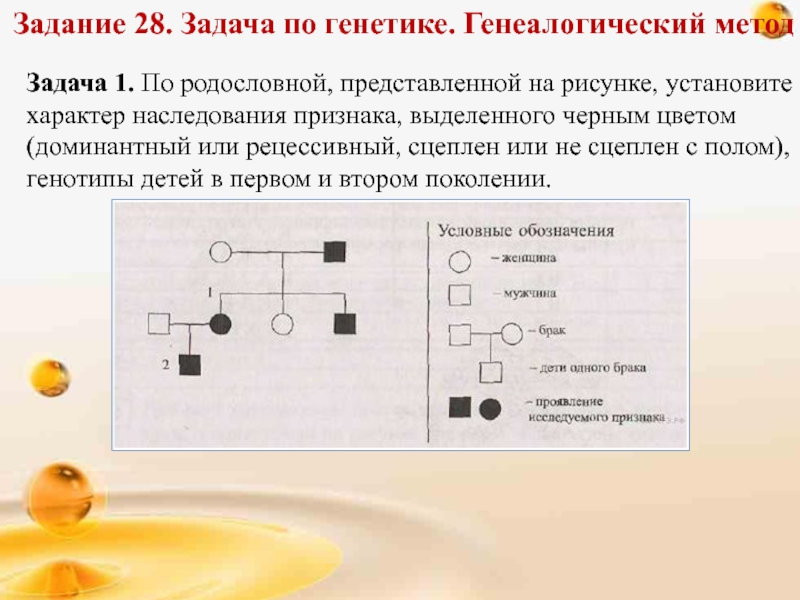 Генетическая карта егэ биология