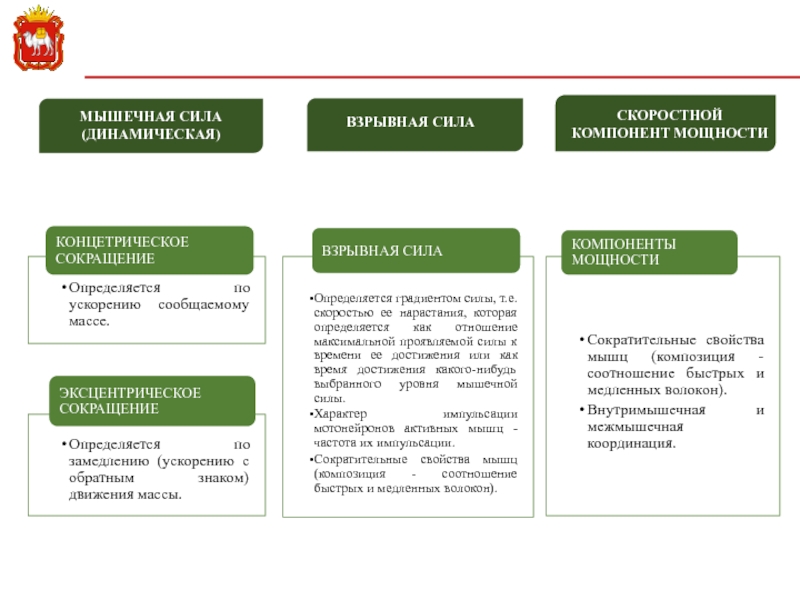 Основные разделы планирования в спорте