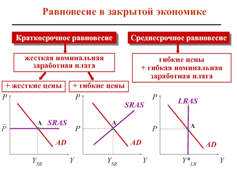 Равновесие в открытой экономике презентация