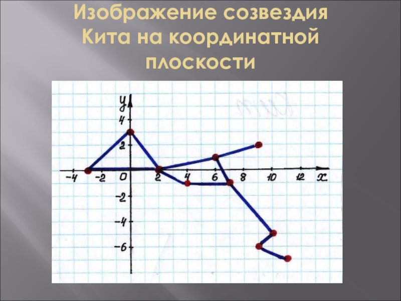 Как нарисовать кита по координатам