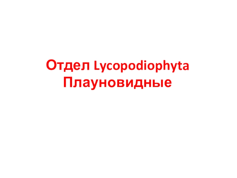 Отдел Lycopodiophyta Плауновидные