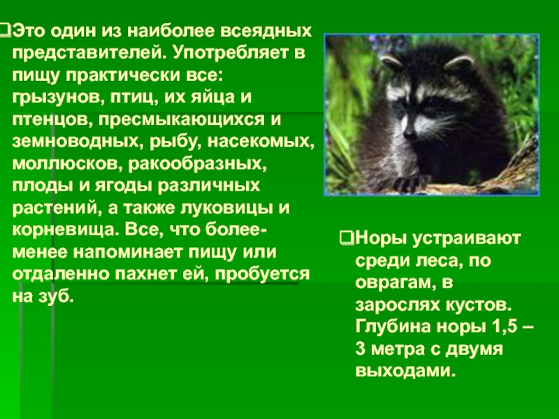 Животный мир волгоградской области презентация