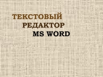 ТЕКСТОВЫЙ РЕДАКТОР MS WORD