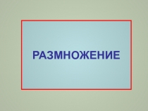Размножение
