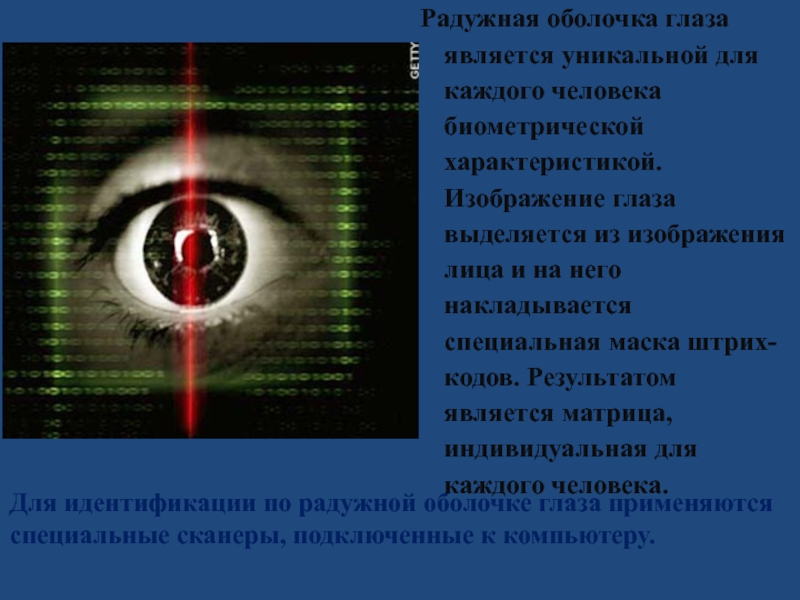 К биометрической системе защиты относятся. Система защиты по оболочке глаза. Изображения глаза выделяются из изображения. Биометрия презентация слайды. Глаз человека: биометрические и другие параметры.