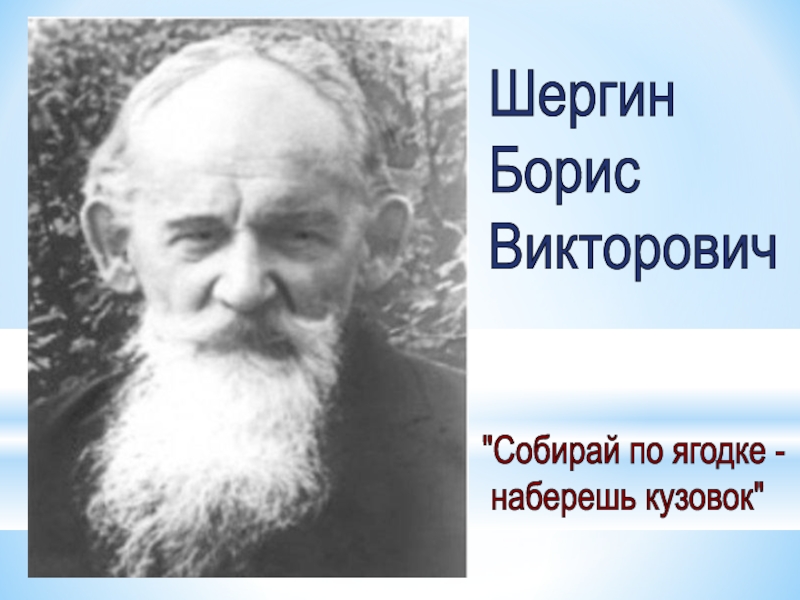 Б в шергин собирай по ягодке наберешь кузовок презентация