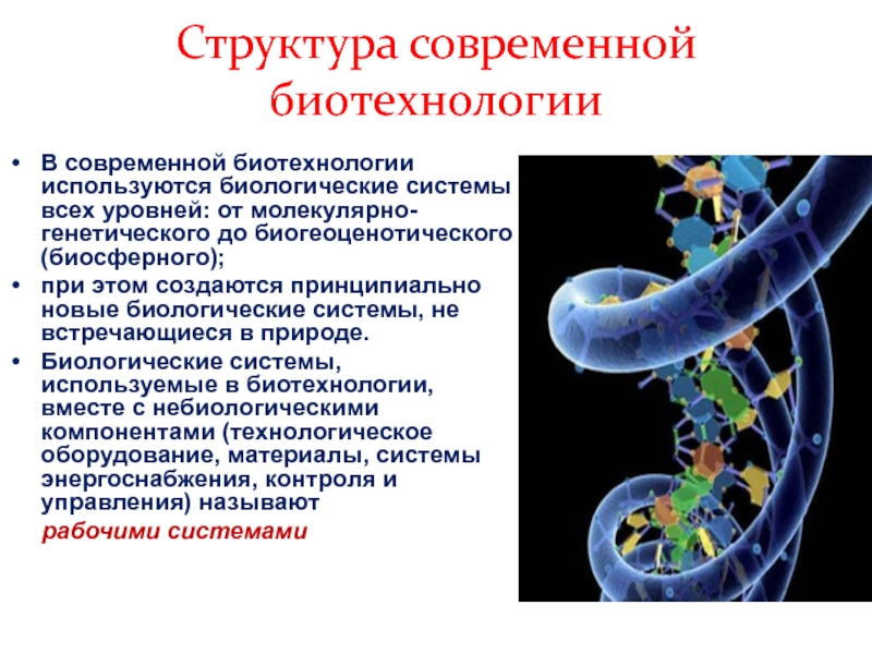 Микроорганизмы используемые в биотехнологии