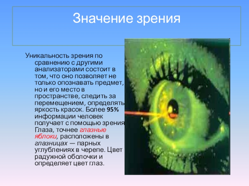 Что означает зрение 1. Значение зрения. Важность зрения. Значение органа зрения. Орган зрения. Значение зрения.