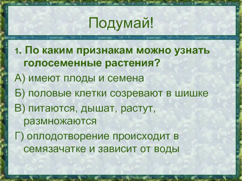 Нужна ли вода для оплодотворения голосеменных