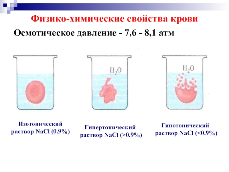 Клетка раствор. Гипотонический и гипертонический растворы. Гипертонический гипотонический и изотонический. Изотонический раствор и гипертонический раствор. Гипотонический. Изотонический. Физиологический. Гипертонический.