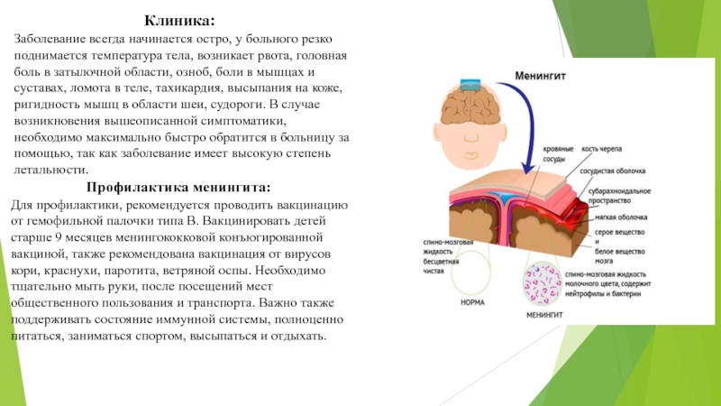 Болезнь без температуры. Озноб и ломота без температуры причины у женщин. Озноб ломота тошнота температура. Озноб без температуры причины у женщин в пожилом возрасте. Знобит без температуры причины у мужчин.