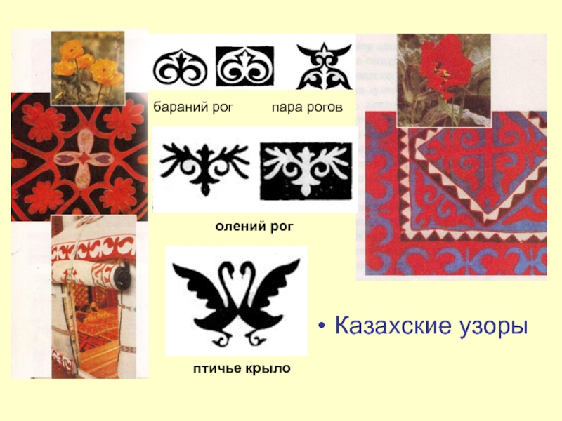 Казахские узорыбараний рог     пара роговолений рогптичье крыло