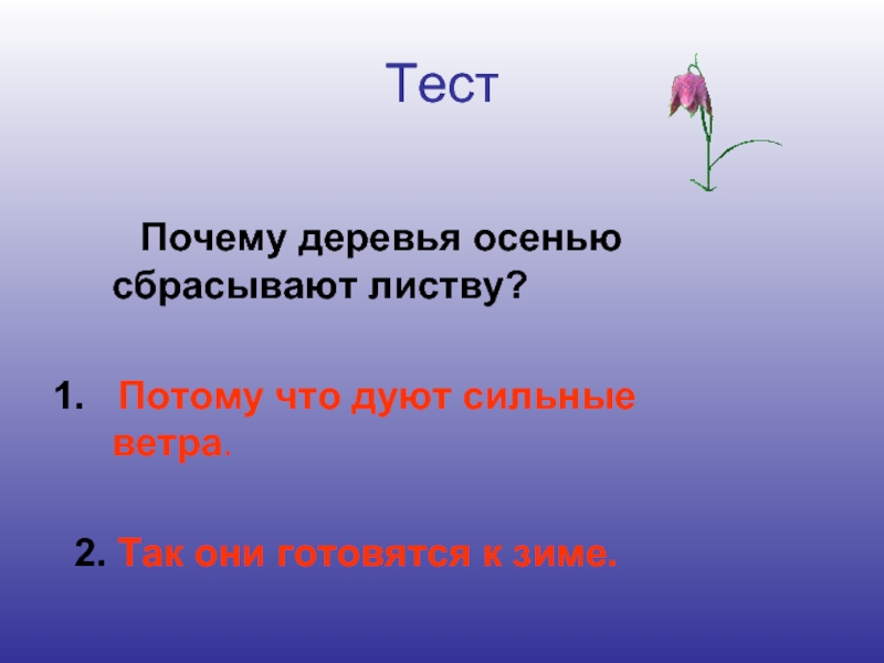 Тесты потому. Деревья осенью сбрасывают листву потому что. Весной вырастают осенью опадают. Весной и летом вырастает а осенью опадает. Летом вырастают а осенью опадают ответ.