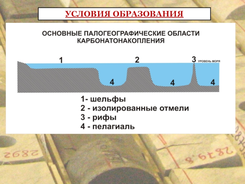 Образовались условия. Условия образования карбонатных пород. Условия образования карбонатных отложений. Классификация известково-Доломитовых пород. Карбонатные породы условия образования классификация.