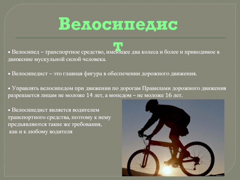 Почему водители не любят велосипедистов