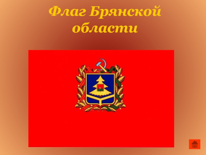 Флаг брянска фото