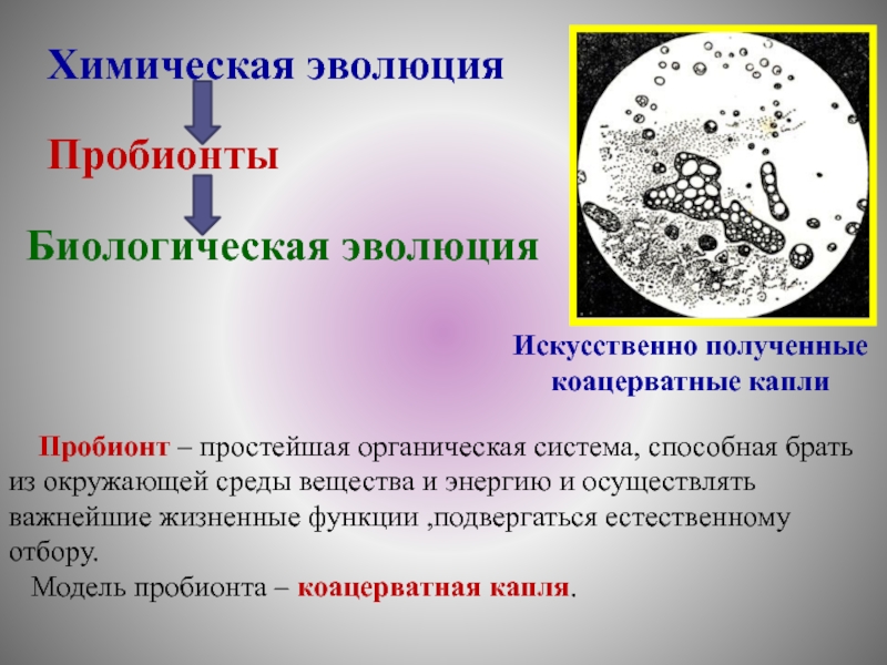 Биологическая эволюция это. Химическая и биологическая Эволюция. Химико биологическая Эволюция. Химическая Эволюция когда началась. Этапы эволюции пробионтов.