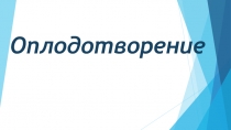 Оплодотворение