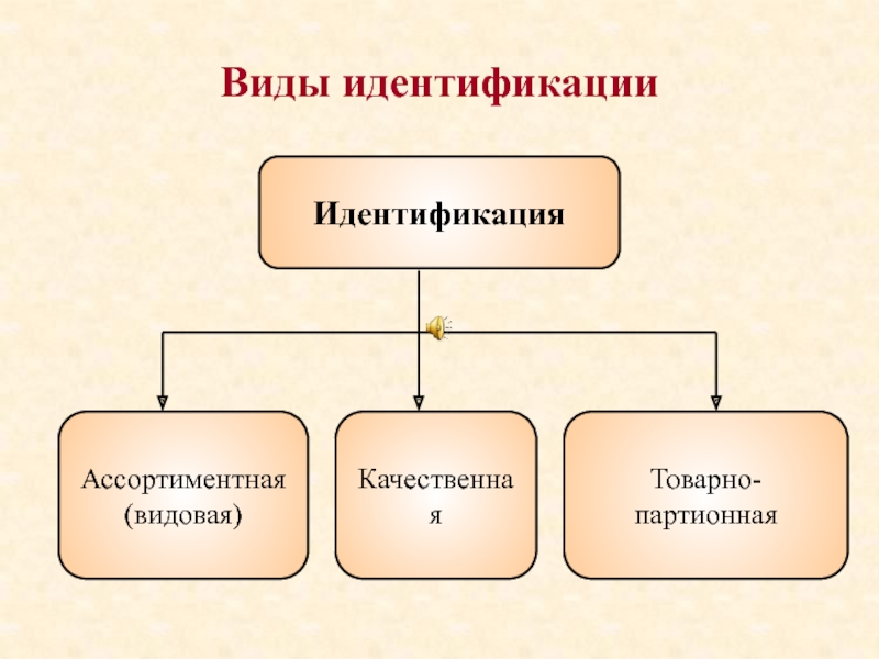 Основные виды идентификации. Виды идентификации. Виды организационной идентификации. Возраст и вид идентификации:. Виды идентичности.