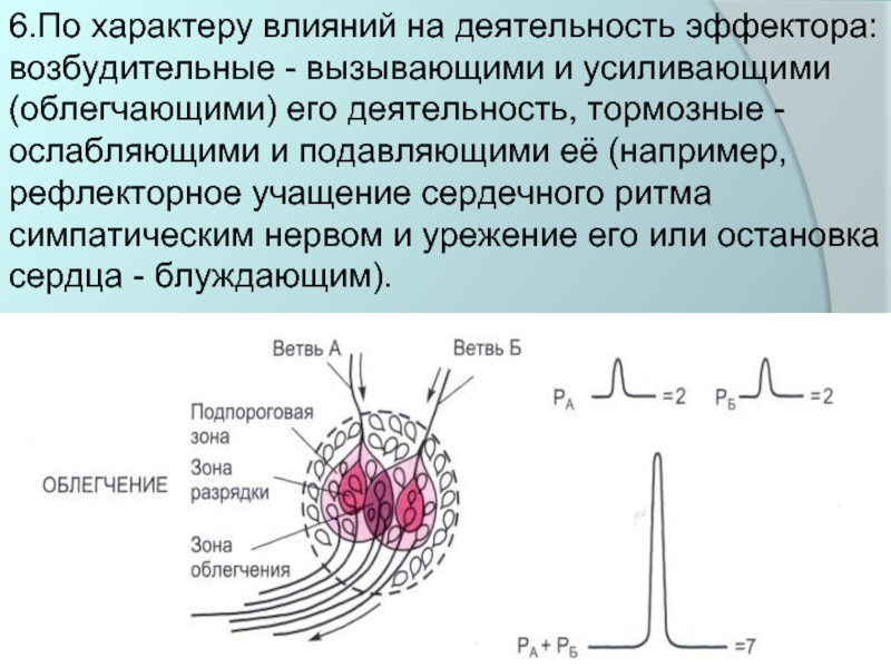 Характер влияния