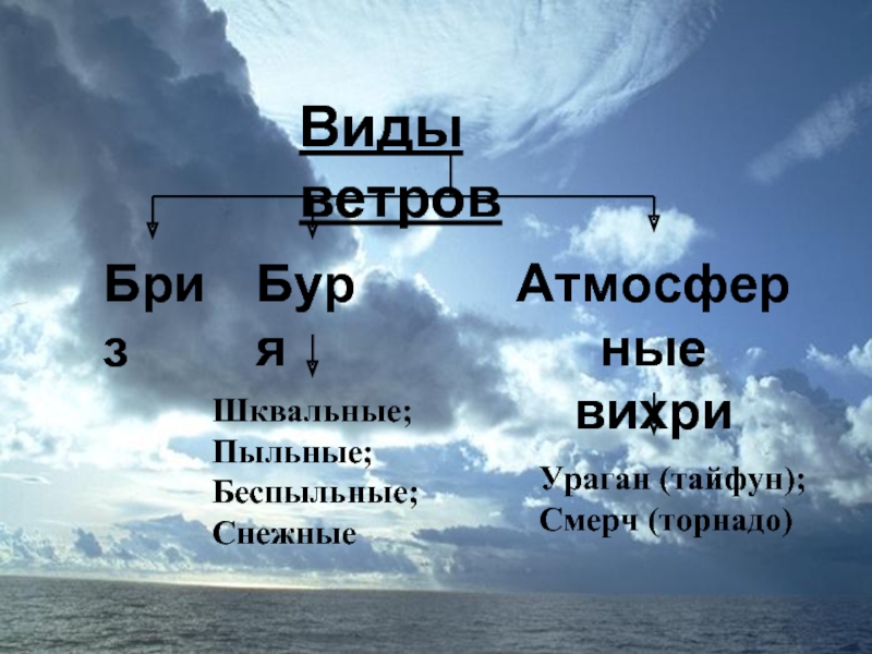 Ветер какой вид ресурсов. Виды ветров. Виды ветров Бриз. Вид ветра Бриз. Виды вихрей.