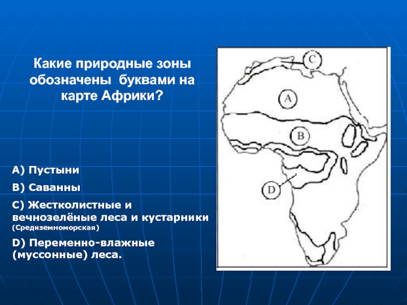 Переменно влажные леса карта