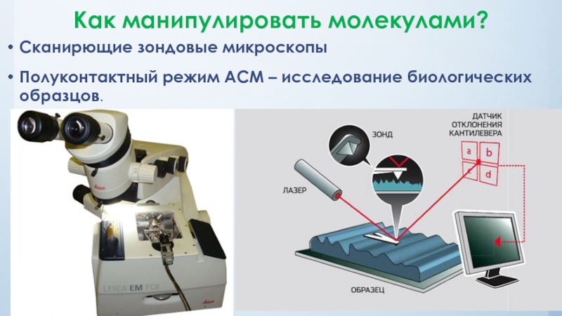 Чем обеспечивается качество формируемого изображения в сканирующих зондовых микроскопах