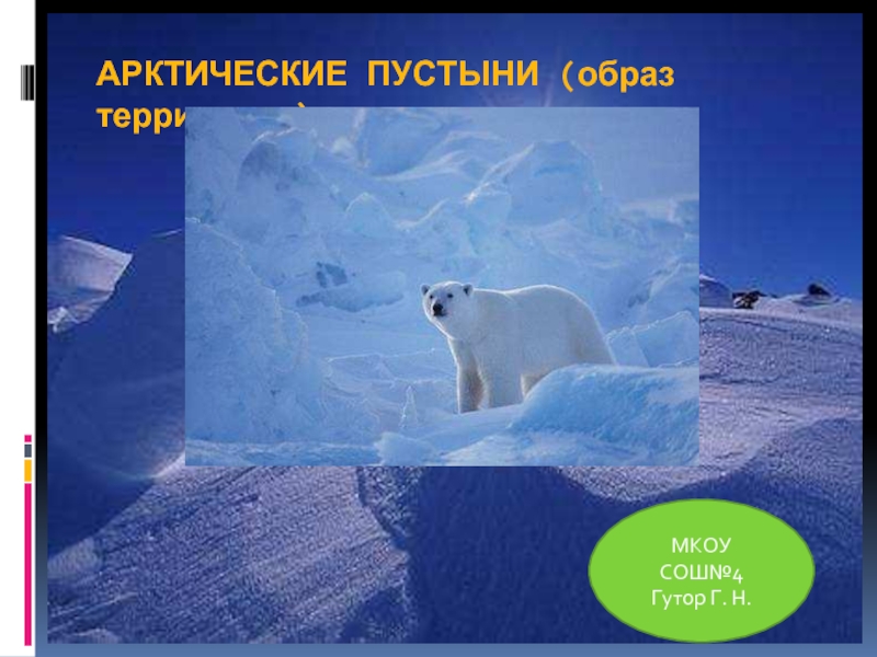 Презентация Арктические пустыни (образ территории)