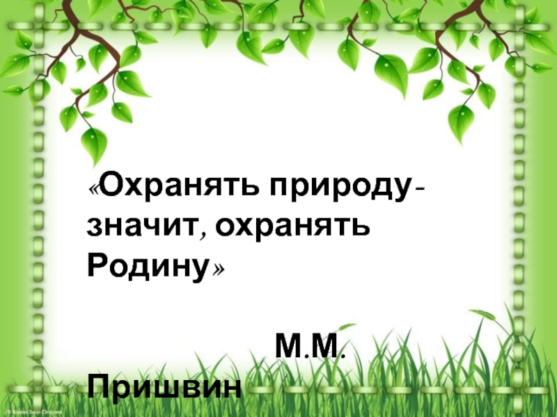 Охранять природу значит охранять мир презентация