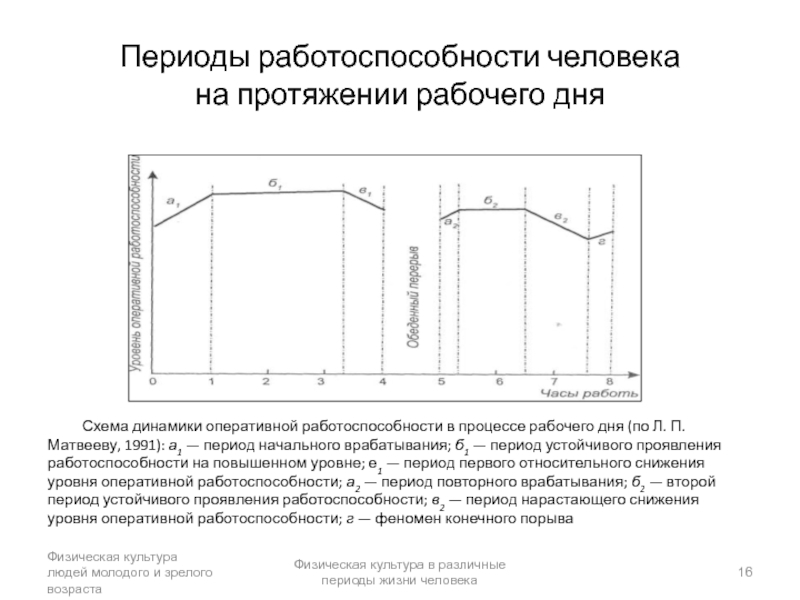 Динамика работоспособности. Схема динамики суточной работоспособности. Периоды работоспособности. Периоды динамики работоспособности. Работоспособность человека схема.