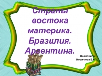 Страны востока материка. Бразилия. Аргентина.