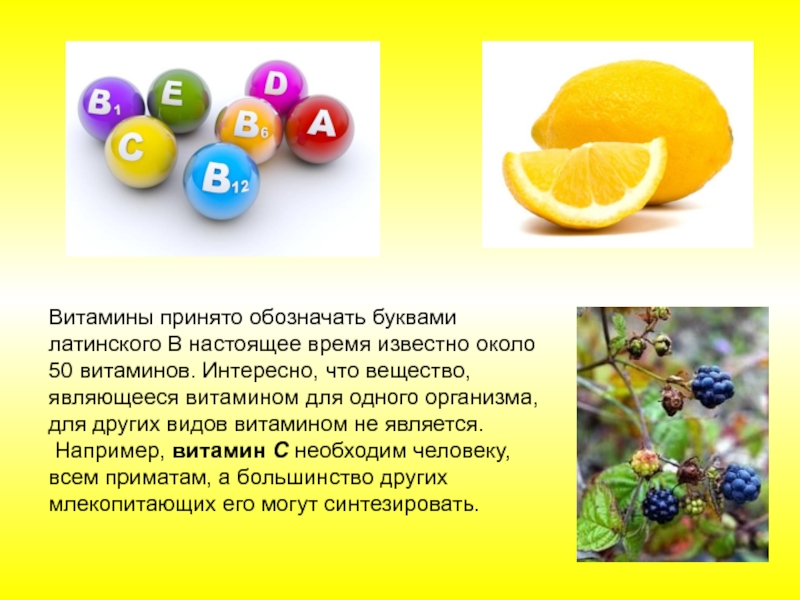 Вода является витамином. Буквы обозначающие витамины. Обозначение витаминов буквами. Цветные витамины. Витамины по буквам.