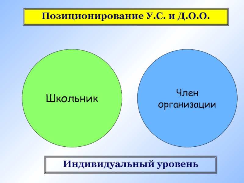 Индивидуальный уровень. Члены организации. Уровни позиционирования.