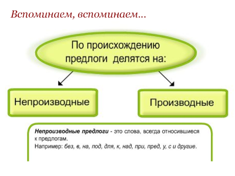 Предлог 7 класс презентация