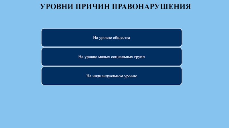 Уровни общества. Уровни правонарушений. Уровень сообщества.