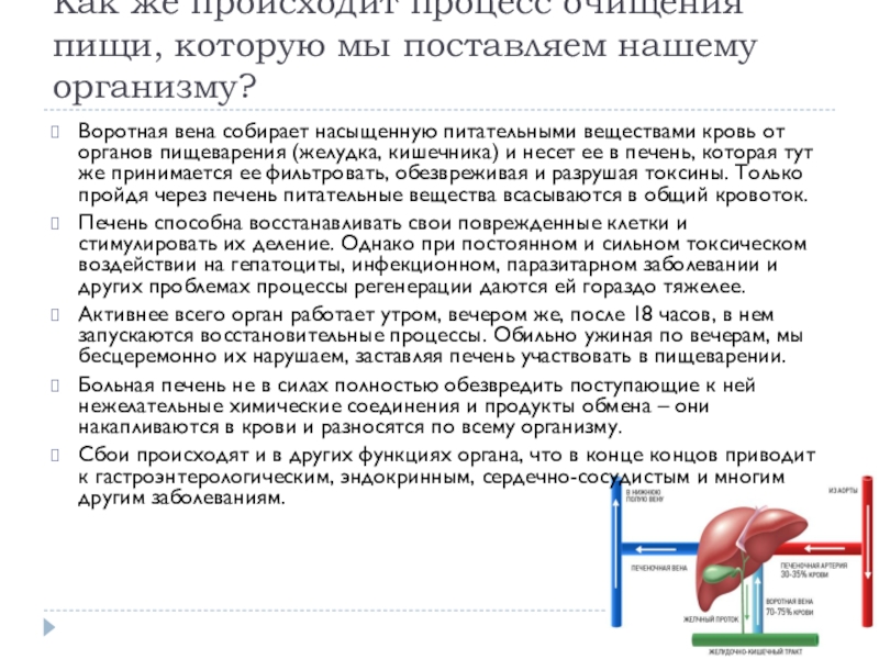 Предопухолевые заболевания и профилактика злокачественных новообразований (ЗНО) Как же происходит процесс очищения пищи, которую мы поставляем нашему организму? Как же происходит процесс очищения пищи, которую мы поставляем нашему организму? Воротная вена собирает насыщенную питательными веществами