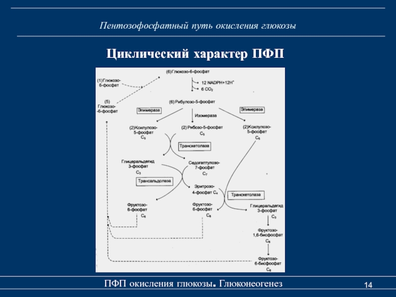 Пфп с схема