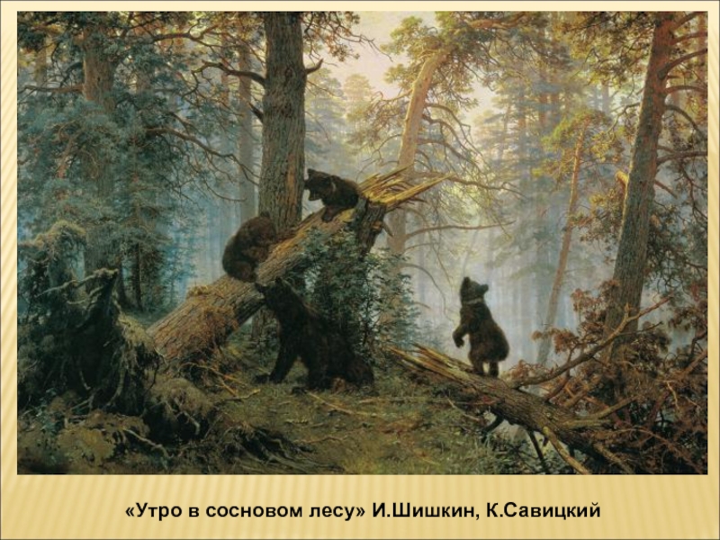 «Утро в сосновом лесу» И.Шишкин, К.Савицкий