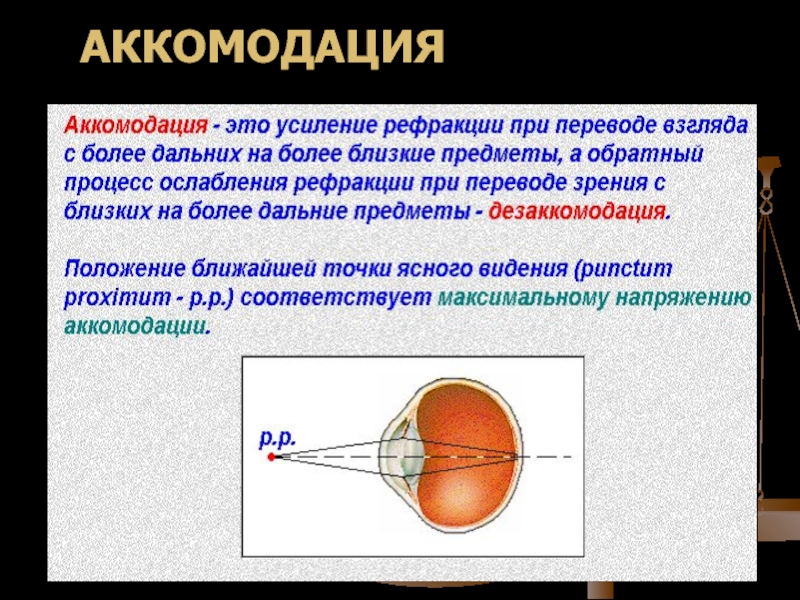 Механизм аккомодации презентация