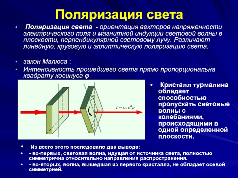 Проекционная картина поляризованного света