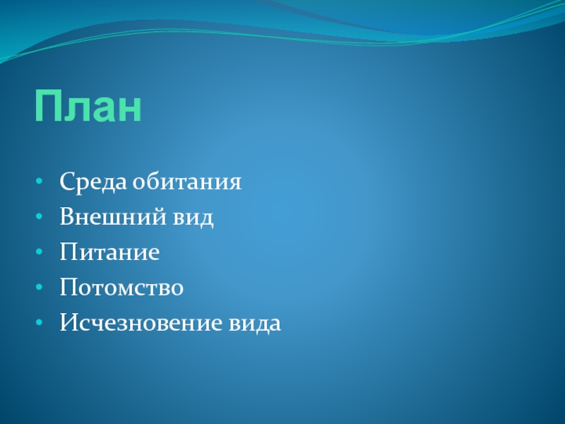 Ветер меняет дважды в сутки