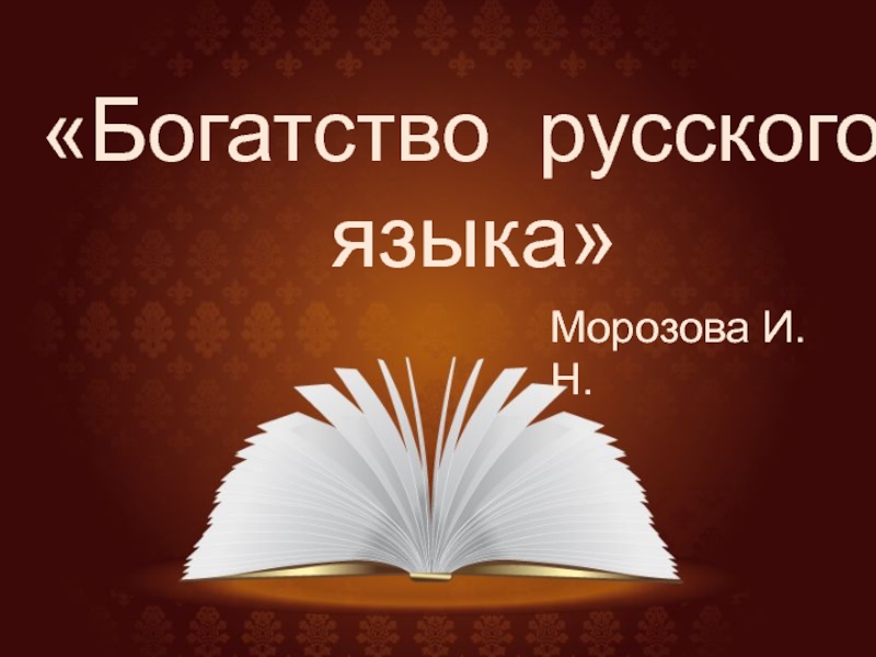 Презентация Богатство русского языка