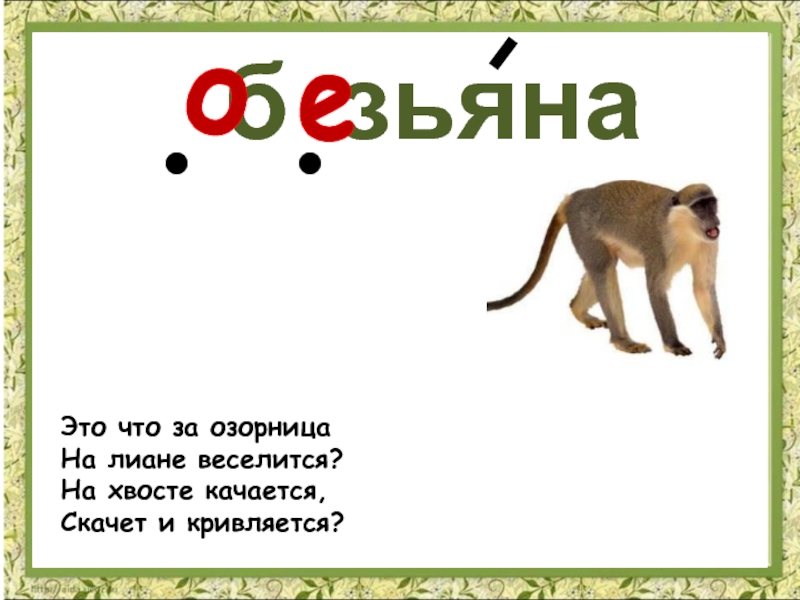 Обезьяна буква ь обозначает. Словарное слово обезьяна. Загадка про обезьяну. Загадка про обезьянку. Загадка про обезьяну для детей.