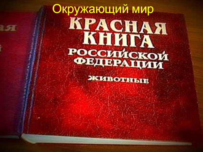 Красная книга животных России