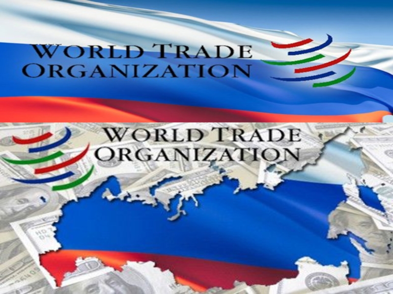 Реферат: Всемирная Торговая Организация 5