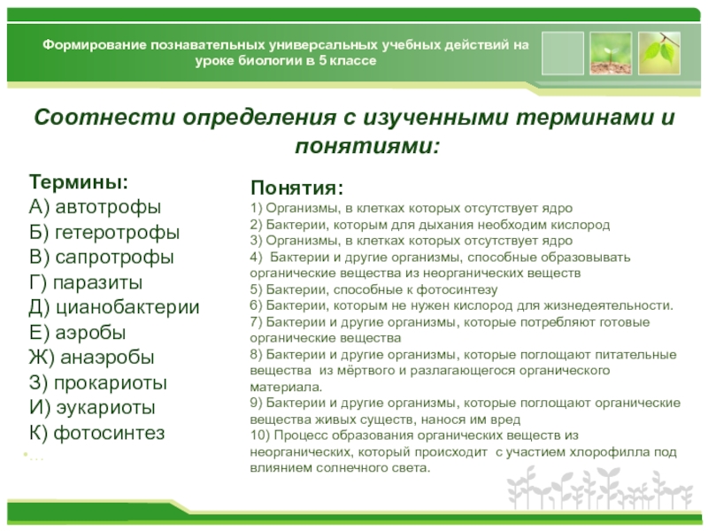 Биологические термины. Термины биологии. Что такое термины в биологии 5 класс. 5 Терминов по биологии. Термины по биологии 5 класс.