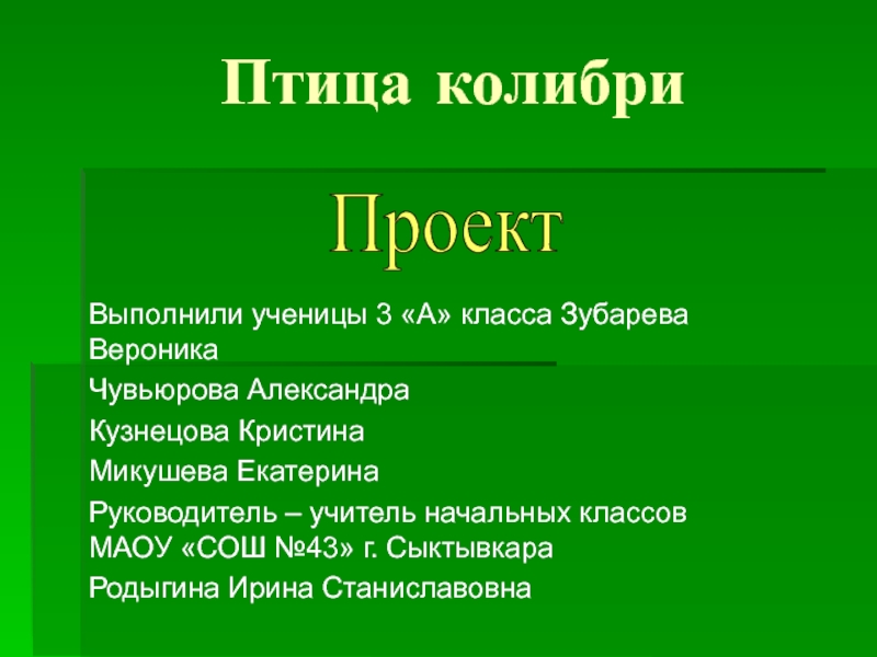 Презентация Детский проект 