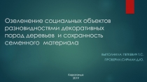 О зеленение социальных объектов разновидностями декоративных пород деревьев и