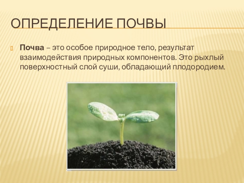 Определение почвыПочва – это особое природное тело, результат взаимодействия природных компонентов. Это рыхлый поверхностный слой суши, обладающий